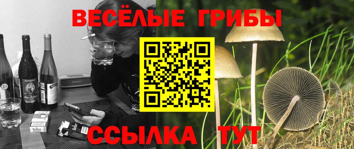 Галлюциногенные грибы прущие грибы Комсомольск-на-Амуре