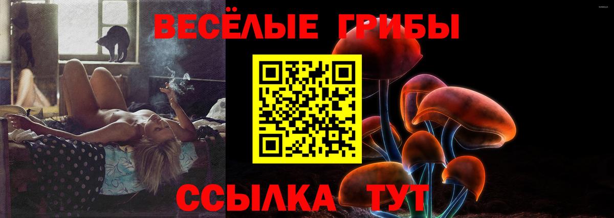 Псилоцибиновые грибы мицелий  Вход с VPN  Комсомольск-на-Амуре 